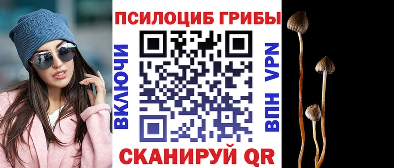 купить наркотик  Уфа  Псилоцибиновые грибы ЛСД 