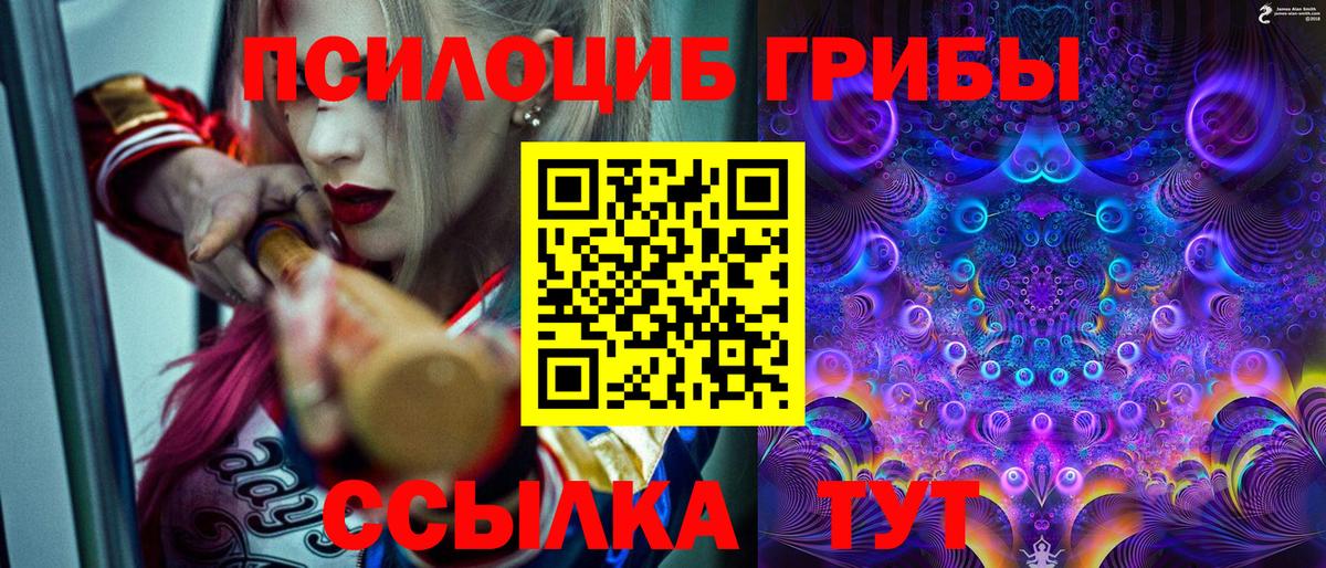 Галлюциногенные грибы Psilocybine cubensis Уфа