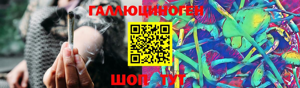 Галлюциногенные грибы мицелий  Вход с VPN  Галлюциногенные грибы прущие грибы  Уфа 